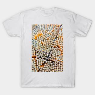 pencil T-Shirt